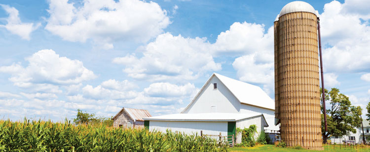 Leeds, Grenville and Lanark Foodcore