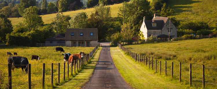 Leeds, Grenville and Lanark Foodcore