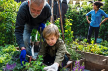A family enjoying their time in the garden.